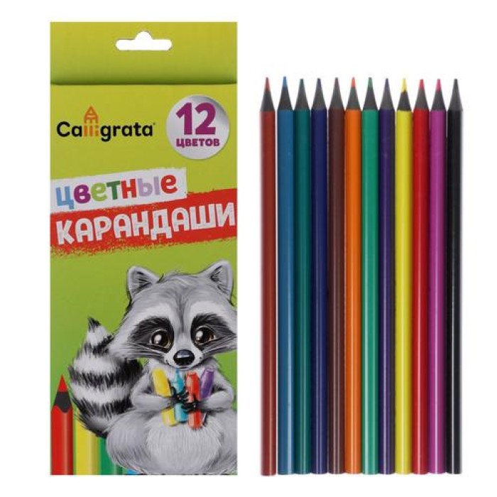 Карандаши 12 цв. Calligrata  к/к 20*9*0,6 см